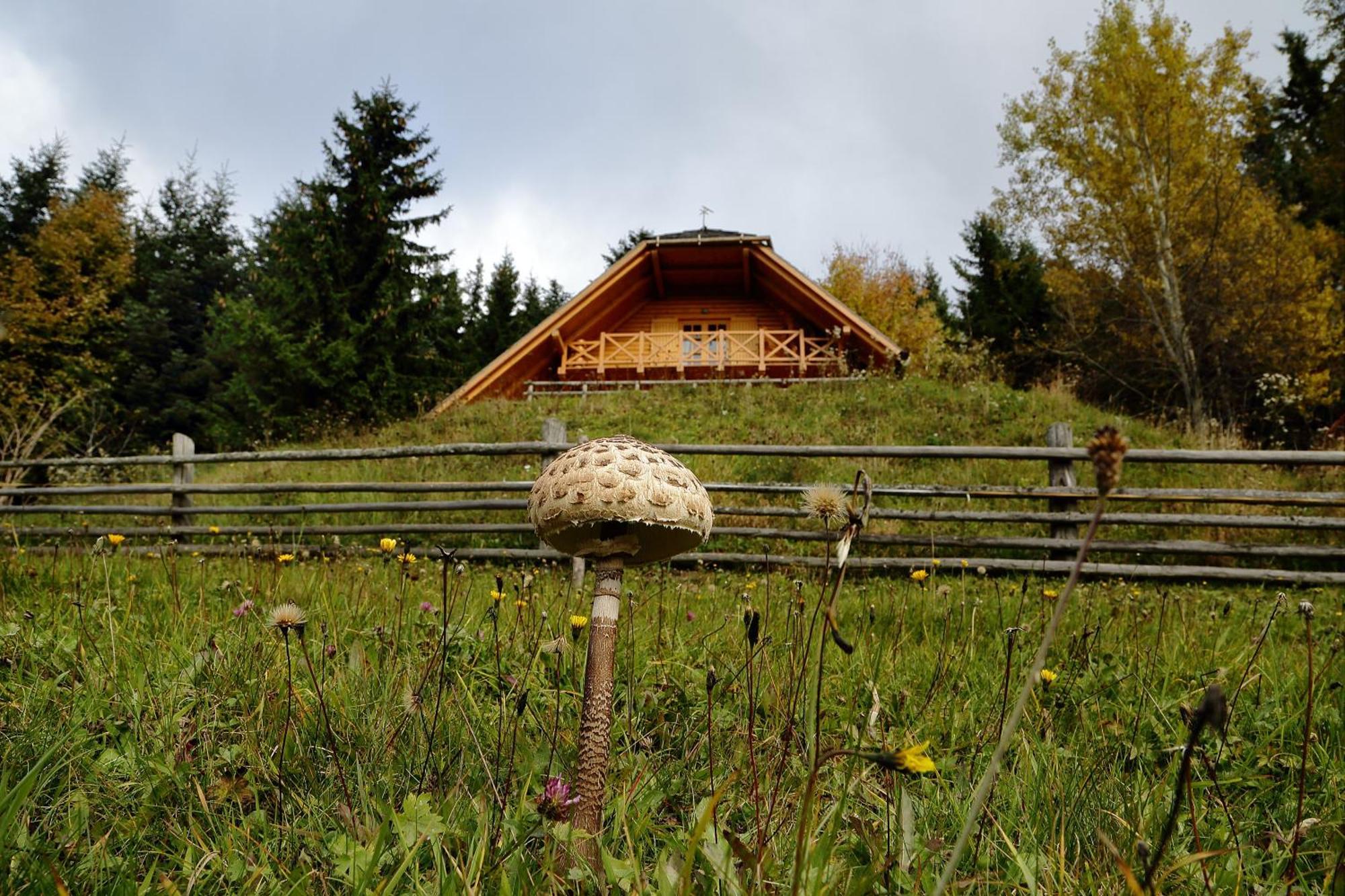 Charming Chalet Rogla Hudinja Экстерьер фото