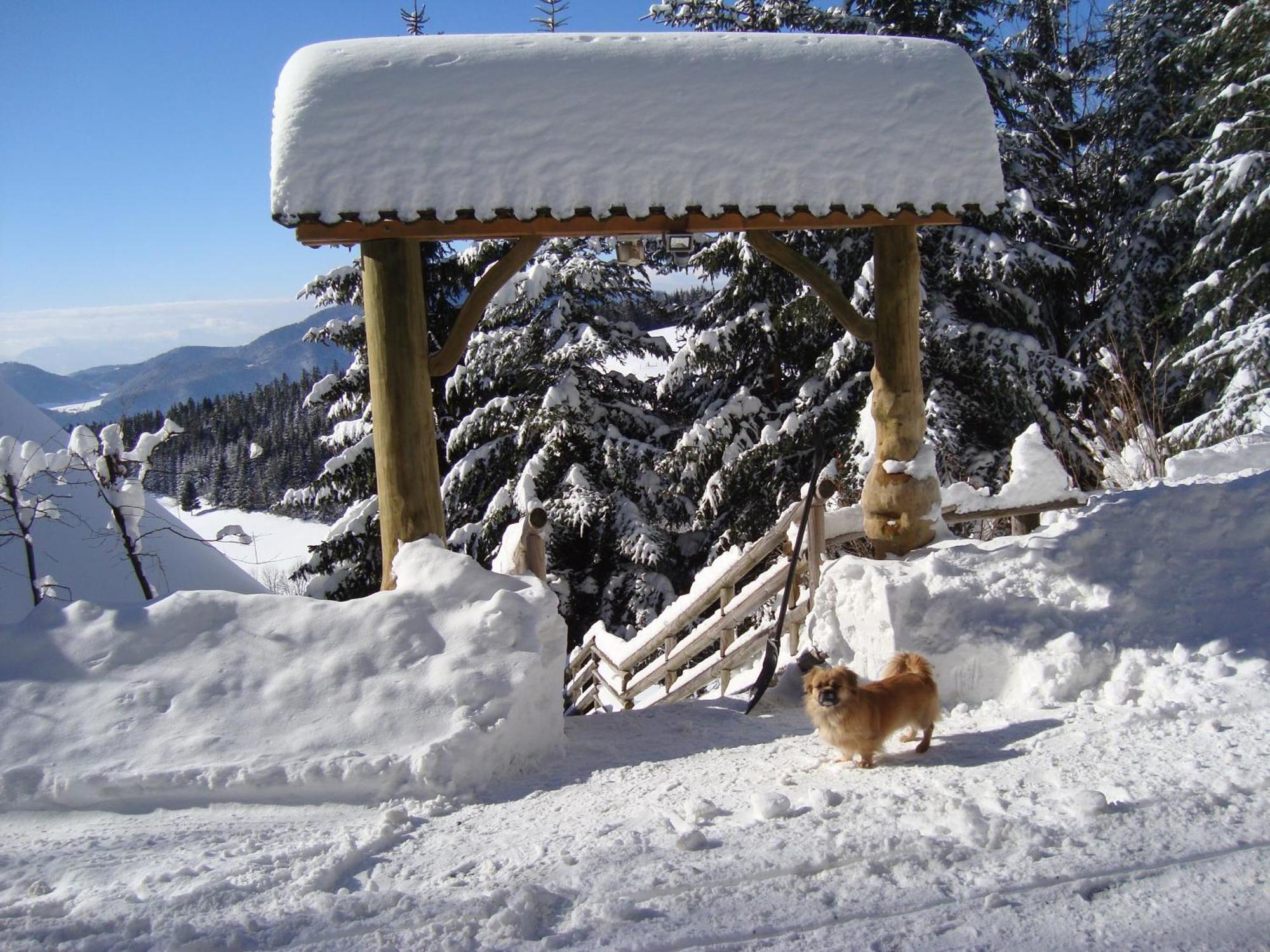Charming Chalet Rogla Hudinja Экстерьер фото